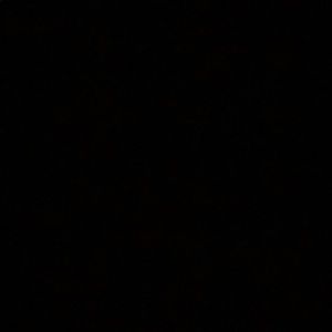 Meet your Posher, Jerry